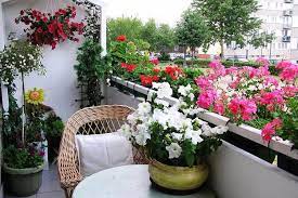 Dengan kombinasi aneka tanaman hias, anda dapat menciptakan taman pribadi sendiri. 11 Ide Dekorasi Cantik Untuk Menghias Balkon Kecilmu