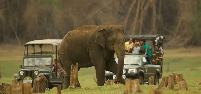 Best Safari Destination Nagarahole