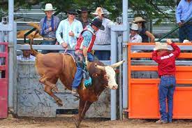 The rodeo is hosted at the kerribee park rodeo grounds, located slightly out of town on route to dimbulah. Mareeba Rodeo Annually In July