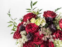 Maybe you would like to learn more about one of these? Announcing Vogue S Editor Designed Floral Arrangements With Urbanstems Vogue