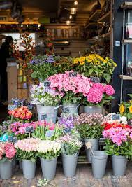 Amsterdam Travel Guide Heather Bullard Pretty Flowers Flower Aesthetic Love Flowers