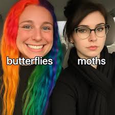 Let's welcome our new members: Gillian Watson, Calum Murray, Maxine A Wells  🦋🦋🦋