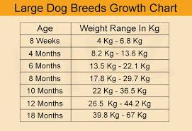 Puppy Development Stages And Growth Chart Marshallspetzone