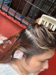 Stylefit Hair Dye Review Milk Tea