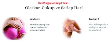 Maybe you would like to learn more about one of these? Cara Pakai Minyak Bulus Jual Minyak Bulus Asli Kalimantan