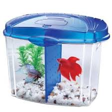 Aqueon Betta Bowl Starter Kit Is A Small And Easy Aquarium To Show Off Your Betta The Starter Kit Includ Betta Fish Bowl Betta Fish Tank Aquarium Fish Tank