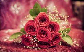 Roses red rose flowers rose flower red rose romance love bouquet nature flower red background petals yellow rose. Wallpaper Red Rose Flowers Gift 1920x1200 Hd Picture Image