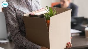E importantă și legea votată în parlament dar și opțiunea pe care guvernul o avem pe baza studiilor epidemiologice. Somaj Tehnic 2020 In Starea De Alerta Ghid Complet Pentru Angajatori Si Angajati