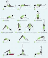 Yoga For Immune System Jason Crandell Vinyasa Yoga Method Vinyasa Yoga Yoga Sequences Yoga Postures