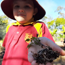 Living Classroom Project (@living.classroom.project) • Instagram photos and  videos