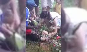 2 Year Old Boy Severely Injured After Falling From 11th Storey Of Sengkang Hdb Flat