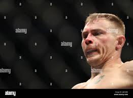 R l adam hi-res stock photography and images