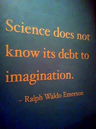 Imagination Quotes Words Wise Words