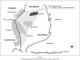 Image result for Drypetes mossambicensis