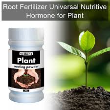 Growth hormone release is not continuous; 50g Plant Growth Rapid Rooting Powder Plant Growth Regulator For Seedling Bonsai Tree Cutting Fungicide Rooting Hormones Special Deal 6eea Goteborgsaventyrscenter