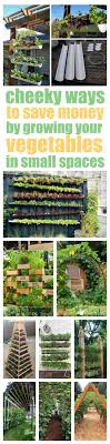 A great place to begin to satisfy lofty ambitions is with the vegetables and how to grow squashes vertically. Vertical Vegetable Garden Ideas Smart Money Simple Life Vertical Vegetable Garden Vertical Vegetable Gardens Veggie Garden