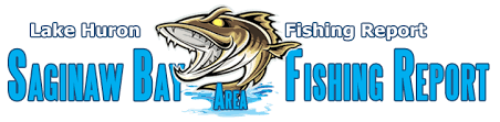 Fish and game forecast michigan. Saginaw Bay Area Fishers And Boaters Resources Lake Huron Michigan Weekly Fishing Report And More