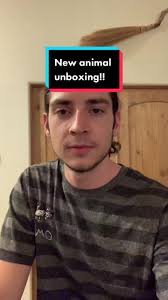 I love this guy so much he is the cutest #alligatorlizard #mexicanalli...