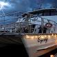Oceania Harmony Halloween boat party event in Auckland