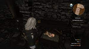 Part 38 The Witcher 3 2nd Playthrough Death March
