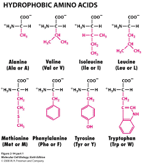 Pin By Gita Seti On College Biochemistry Organic Chemistry Study Chemistry