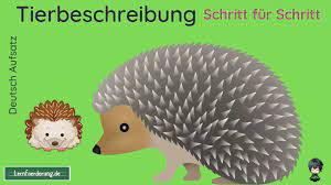 Learn vocabulary, terms and more with flashcards, games and other study tools. Tierbeschreibung Schritt Fur Schritt Anleitung Youtube