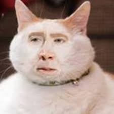 Stream Riley MacKenzie Dickson music