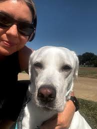 KT's Pet Sitting & Dog Walking