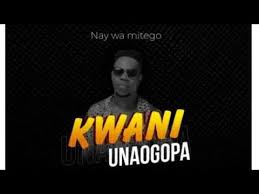 Entdecke rezepte, einrichtungsideen, stilinterpretationen und andere ideen zum ausprobieren. Nay Wa Mitego Kwani Unaogopa Official Audio Pro Sabaiza Youtube