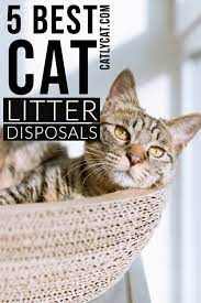 5 Best Cat Litter Disposals Best Cat Litter Cool Cats Cat Litter