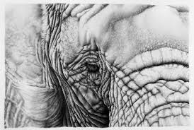 30 Hyper Realistic Pencil Drawings By Romanian Artist Ileana Hunter Realistic Pencil Drawings Pencil Portrait Drawing Realistic Drawings