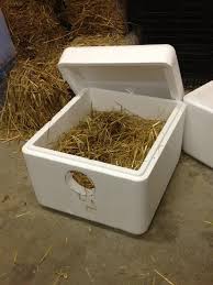 Feral cats may breed over dozens of generations and become an aggressive apex predator in urban. Face Low Cost Animal Clinicoutdoor Cat Shelters Face Low Cost Spay Neuter Clinic