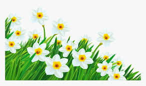 Find spring hill nurseries ornamental grasses at lowe's today. Spring Grass With Flowers Png Transparent Background Transparent Background Spring Flowers Clipart Png Download Kindpng