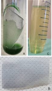 Greening the Production of Indigo Blue Exploiting Light and a Recombinant  Synechocystis sp. PCC6803 Strain Expressing the Enzyme mFMO