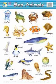 77 Detailed Animals Chart For Children