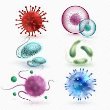 pin on microscopic and cell moodboard pin on microscopic and cell moodboard