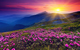 Check spelling or type a new query. Beautiful Sunset In The Mountains Coffee With The Lord