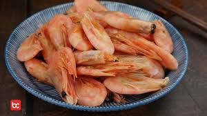 We did not find results for: Kenapa Orang Bodoh Disebut Otak Udang Bicara Indonesia
