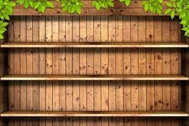 رفوف خشبية خشب النبات 200cm 150cmphotography الخلفيات الخلفيات استوديو الصور جدار من الطوب Ntzc 113 Wooden Books Brick Wall Background Photography Backdrops