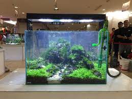 Pin By Stephanus Mardianto On Aquascape Planted Aquarium Aquascape Aquarium