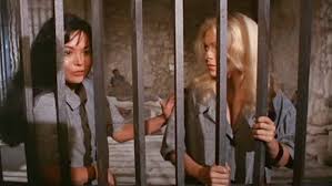 DeadShed Productions: Bad Girls Behind Bars (Blue Underground Boxed Set)  DVD Review