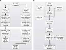 Cleaned and organized india shipments. Construction Of A Map Based Reference Genome Sequence For Barley Hordeum Vulgare L Scientific Data