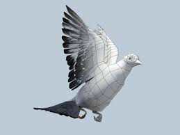 3d Model Pigeon C4d Obj 3ds Fbx Ma Lwo 91336