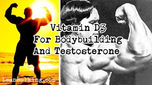 Supplemental vitamin d comes in two forms: Difference Between Vitamin D3 V D2 For Bodybuilding Testosterone