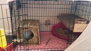 Rabbit & cavy cages, carriers & supplies. How To Turn Your Dog Cage Into A Rabbit Cage Youtube Dog Cages Rabbit Cage Rabbit Cages