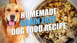 homemade grain free dog food recipe