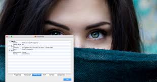 Best photo viewer, image resizer & batch converter for windows. A Complete Review On Google Picasa Alternatives Techilife