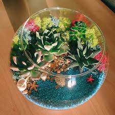 Glass terrarium bowl with succulents, kit to make terrarium, diy kit to make your own terrarium, succulents, terrarium, living gift. Fish Bowl Fairy Garden Pots Fish Bowl Decorations Succulent Terrarium