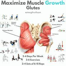 Start studying hip strengthening exercises (glutes). Muscle Growth Glutes Exercices Fessiers Exercices De Fitness Programmes D Entrainement Physique