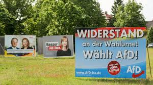 Ministerpräsident reiner haseloff (cdu) hat laut umfragen gute chancen auf eine dritte amtszeit. Dandxw1kbw6tm